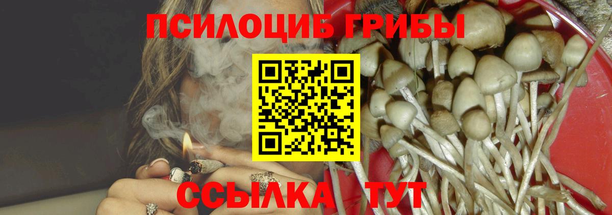 Псилоцибиновые грибы MAGIC MUSHROOMS Знаменск